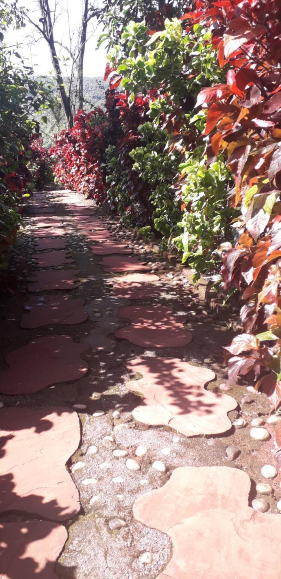 Strawberry Country Mahābaleshwar Quarto foto
